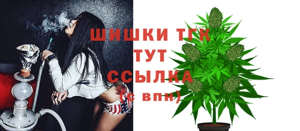 дживик Белоозёрский