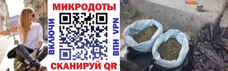 как найти наркотики Минеральные Воды кракен онион Галлюциногенные грибы GOLDEN TEACHER
